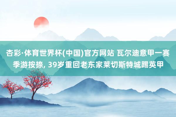 杏彩·体育世界杯(中国)官方网站 瓦尔迪意甲一赛季游按捺， 39岁重回老东家莱切斯特城踢英甲