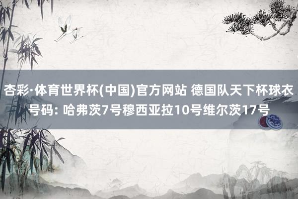 杏彩·体育世界杯(中国)官方网站 德国队天下杯球衣号码: 哈弗茨7号穆西亚拉10号维尔茨17号