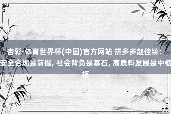 杏彩·体育世界杯(中国)官方网站 拼多多赵佳臻: 安全合规是前提， 社会背负是基石， 高质料发展是中枢
