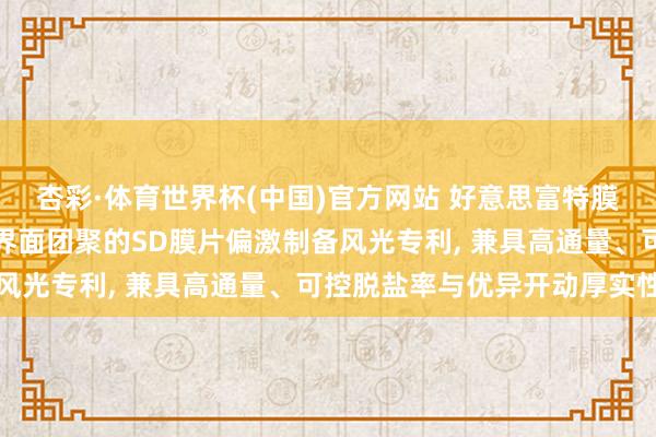 杏彩·体育世界杯(中国)官方网站 好意思富特膜央求基于协同醇相体系界面团聚的SD膜片偏激制备风光专利， 兼具高通量、可控脱盐率与优异开动厚实性