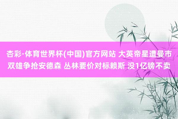 杏彩·体育世界杯(中国)官方网站 大英帝星遭曼市双雄争抢安德森 丛林要价对标赖斯 没1亿镑不卖