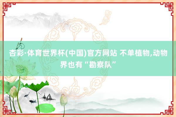 杏彩·体育世界杯(中国)官方网站 不单植物，动物界也有“勘察队”