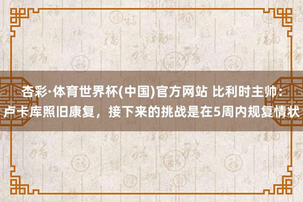 杏彩·体育世界杯(中国)官方网站 比利时主帅：卢卡库照旧康复，接下来的挑战是在5周内规复情状