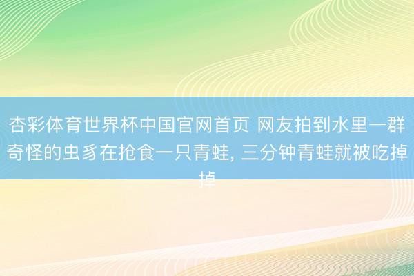 杏彩体育世界杯中国官网首页 网友拍到水里一群奇怪的虫豸在抢食一只青蛙， 三分钟青蛙就被吃掉