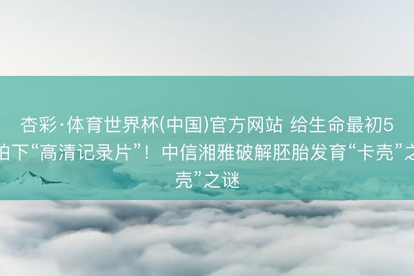 杏彩·体育世界杯(中国)官方网站 给生命最初5天拍下“高清记录片”！中信湘雅破解胚胎发育“卡壳”之谜
